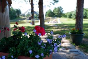 Billede fra billedgalleriet på Vosylių kaimo turizmo sodyba i Kazlų Rūda