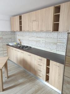 - une cuisine avec des placards en bois et un comptoir dans l'établissement Casa Patricia, à Lupeni