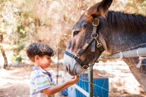 un niño acaricia un caballo sobre una valla en Happy Camp Mobile Homes in El-Bahira Camping Village en San Vito lo Capo