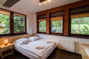 a bedroom with a bed in a room with windows at udanypobyt Apartamenty Przy Dolinach A i B in Kościelisko