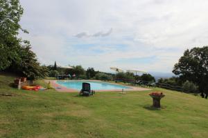 une grande piscine dans un champ herbeux dans l'établissement BORGO MONTEMAGGIORE, à Rapolano Terme
