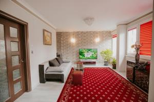 a living room with a couch and a red rug at Dimitrovi Rooms in Sofia