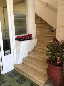 a staircase with pink flowers in a window box at Hotel Danae in Piriápolis