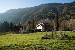 Příroda nedaleko hotelu + 37 fotografií