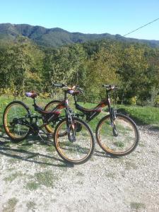 a couple of bikes parked on a gravel road at B&B Monte Splendore in Pietralunga