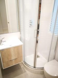 a bathroom with a shower and a toilet and a sink at Apartamento con encanto in Madrid