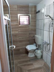 a bathroom with a toilet and a glass shower at Cosy Appartement in Majdal Shams