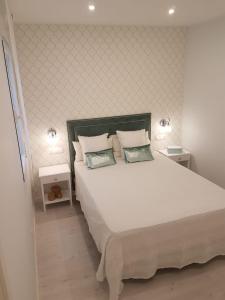 1 dormitorio con 1 cama blanca grande y 2 almohadas en Apartamento con encanto, en Madrid