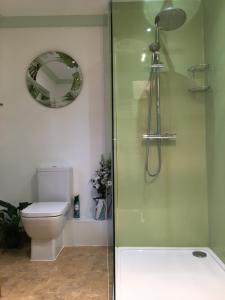 ein Bad mit einer Dusche, einem WC und einem Spiegel in der Unterkunft East Hillerton House in Crediton