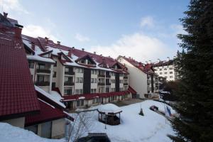 a group of buildings with snow on the ground at Deluxe Apartments in Pamporovo