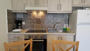 Kuchyň nebo kuchyňský kout v ubytování Amphitrite Apartments Skyros