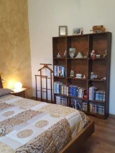 1 dormitorio con 1 cama y estantería con libros en CASA ALESSANDRA en Chiuro
