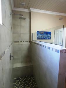 baño con ducha y puerta de cristal en Gansbaai Central Accommodation, en Gansbaai