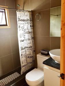 a bathroom with a toilet and a shower curtain at CasaLoft Caicai in Licán Ray