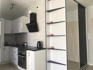 Kuchyňa alebo kuchynka v ubytovaní Apartament Lucky