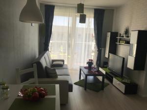 Televízia a/alebo spoločenská miestnosť v ubytovaní Apartament Lucky
