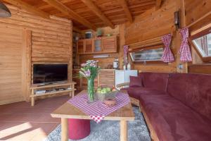 ein Wohnzimmer mit einem Sofa und einem Tisch in der Unterkunft Wellness hiska Izabela in Križevci pri Ljutomeru