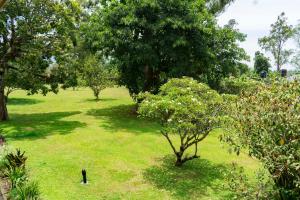 Zahrada ubytování Mountains of the Moon Hotel Fort Portal
