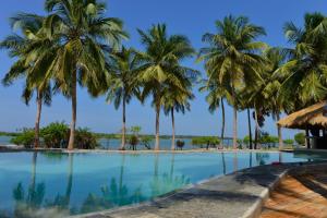 卡尔皮蒂耶Kitelantis Tent Resort的享有棕榈树游泳池的景色
