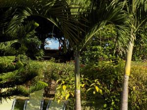 Giardino di Villa Osumare Guest House