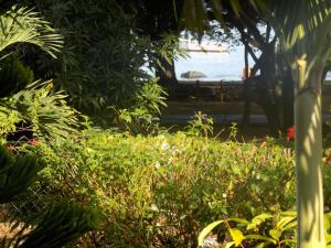 Giardino di Villa Osumare Guest House