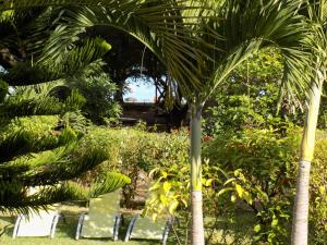 Giardino di Villa Osumare Guest House