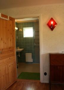 a bathroom with a shower with a sink and a mirror at Grönelid Gård in Tived