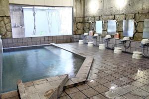 a bathroom with a pool of water in a room at Hotel Route-Inn Court Nirasaki in Nirasaki