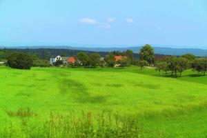 um grande campo de relva verde com uma casa ao fundo em Hotel-Landgasthof Brachfeld em Sulz am Neckar