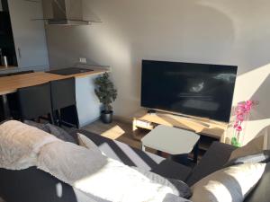 a living room with a couch and a large television at ANNEXE du LAC in Le Bourget-du-Lac