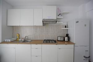 Kuchyň nebo kuchyňský kout v ubytování Regency Villa