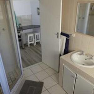 a bathroom with a sink and a shower backdoor at Rose and Ale Self Catering Units in Gonubie