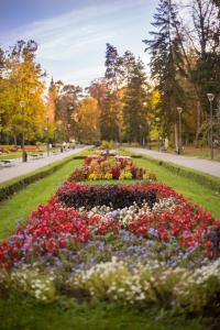 Zahrada ubytování A Hoteli - Hotel Slatina