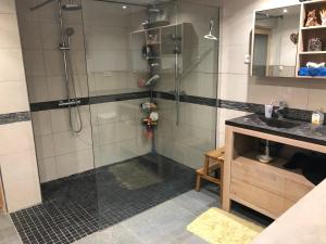 een badkamer met een douche en een wastafel bij Chalet du bois des Fugiers in Ugine