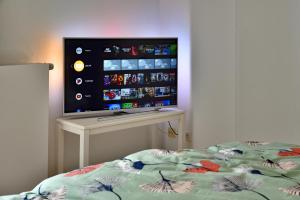 TV a/nebo společenská místnost v ubytování Ferienwohnung am Wall