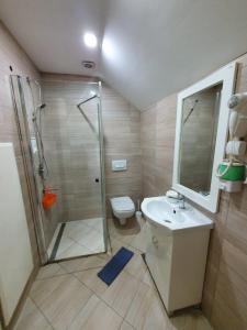 a bathroom with a shower and a toilet and a sink at Niš City Center Guest House in Niš