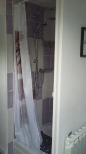 eine Dusche mit Duschvorhang im Bad in der Unterkunft Le Paradis in Fressies