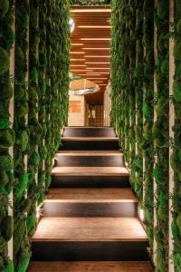 Fotografie z fotogalerie ubytování Wellness Rooms Central v Praze