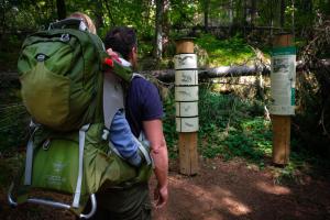 Foto dalla galleria di Hostel Bearlog Kočevje a Kočevje