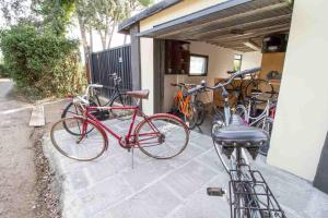 Jazda na bicykli v okolí ubytovania B&B PALAZZI