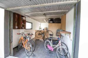 Jazda na bicykli v okolí ubytovania B&B PALAZZI