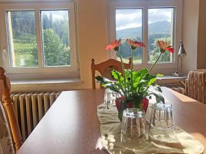 Fotografie z fotogalerie ubytování Penzion Sally v destinaci Albrechtice v Jizerských horách