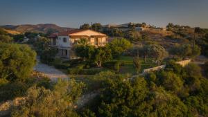 a house on top of a hill with trees at Irene Komos in Pitsidia