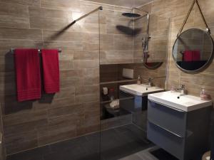 W łazience znajduje się umywalka i lustro. w obiekcie Geneve chene-bougeries w Genewie