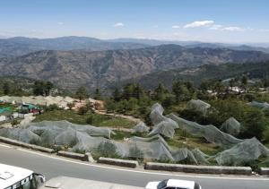 a view of a road with mountains in the background at Ditto Room Kufri Ashray in Shimla