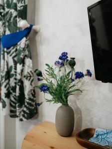 TV in/ali zabaviščno središče v nastanitvi Boutique Hotel Romantick