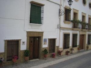 a white building with potted plants on a street at Casa Rural La Villa in Castro del Río