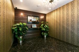 Vstupní hala nebo recepce v ubytování Hotel Luna (Adult Only)