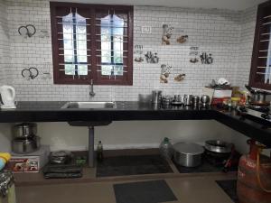a kitchen with a sink and a counter top at Munnar Brindavan Cottage in Munnar