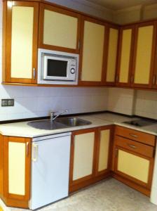 a kitchen with a sink and a microwave at Apartahotel Siglo XXI in León